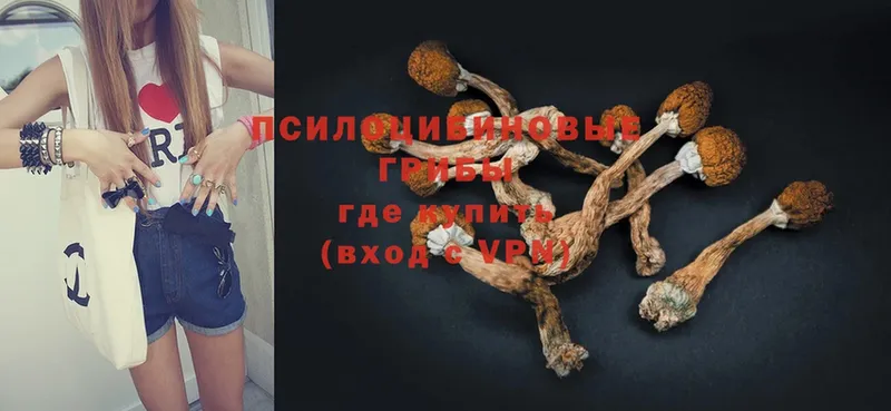 Галлюциногенные грибы Psilocybe  Велиж 